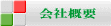 ЊTv